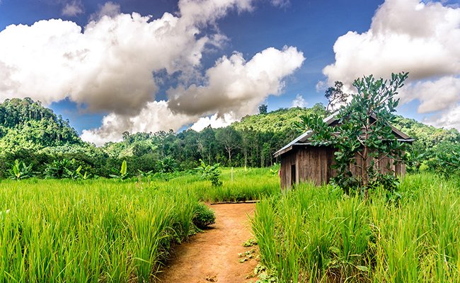 Discover Trekking Tour from Angkor Complex to Sihanoukville 8 Days